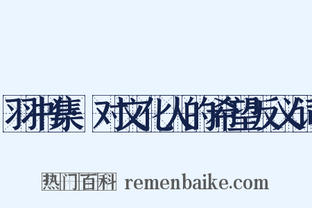 羽书集·对文化人的希望反义词是什么意思的图片